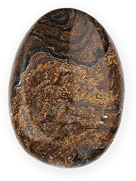 NKlaus Daumenstein Stromatolith Natur 5x3,5cm Meditation Handschmeichler Deko 14891