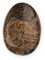 NKlaus Daumenstein Stromatolith Natur 5x3,5cm Meditation Handschmeichler Deko 14891