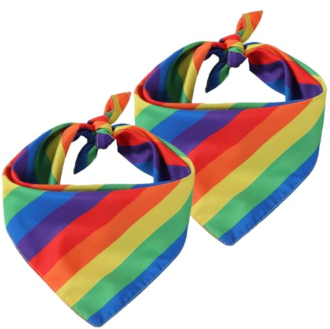 2 Stück Regenbogen Accessoires, Regenbogen Schal, Regenbogen Accessoires Damen Geeignet für Verschiedene Kombinationen mit Leuchtenden Farben