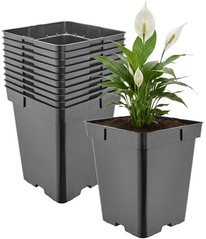 Garronda Maceta de plástico Alta 18 x 18 x 21,5 cm (5 L) Set de 10 Cuadrada con Orificios de Drenaje Maceta de PP para jardín Invernadero balcón Cultivo Interior y Exterior Negro GD-0201