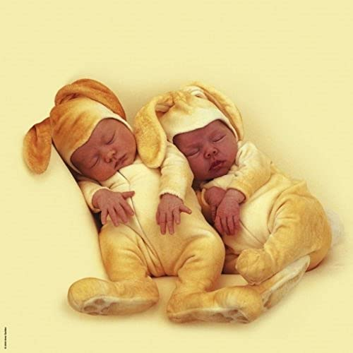 Schmidt Spiele - Anne Geddes, Hasenkinder, quadratisches 1000 Teile Puzzle