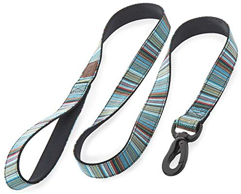 Embark Urban Dog Lead - Leads for Small, Medium and Large Dogs (BOHO 4FT)