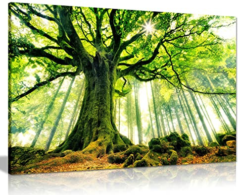 Panther Print Fine Art Prints Green Forest Trees Woods Artistic Framed Canvas Print, Pictures for Home Walls, Bedroom, Living Room & Bathroom Decor 31x20cm (12x8in)