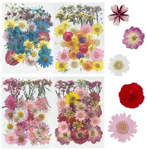 Woohome 160 Stück Natürlich Getrocknete Blumen Gepresste Blumen zum Basteln Blüten Getrocknet, Trockenpressen-Blumen-Set für die Herstellung von DIY-Schmuck, Nagelkarten und Dekorationen