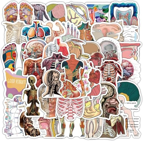 100PCS Cool Anatomy Stickers,Biology Anatomy Human Body Organ Stickers for Students Teachers Kids Doctors Nurses,Waterproof Vinyl Stickers for Water Bottle Laptop Scrapbook(Human Organ)