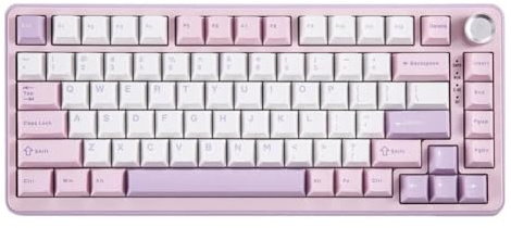 GCemptDMd Keyboard 82 Key 75 Percent Layout Wireless Mechanical Gaming With Hot Swap Sockets RGB Backlit Compatible With B75 PRO Black BT Type C 2.4G(Purple)