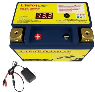 Batterie De Moto 12V LiFePO4 Avec BMS Intégré, 8Ah/12Ah, CCA 180A/420A/520A/620A, Phosphate De Fer Au Lithium, Compatible Avec ATV Et UTV(12-BS P-N)