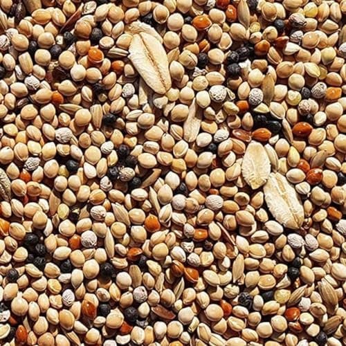 Supravit Wachtelfutter 25kg | Vollwertige Körnermischung für Wachteln, Legewachteln und Hühner als Alleinfutter | Wachtel Futter mit Hirse Glanz Perillasaat Raps Haferflocken Hafer und Leinsamen