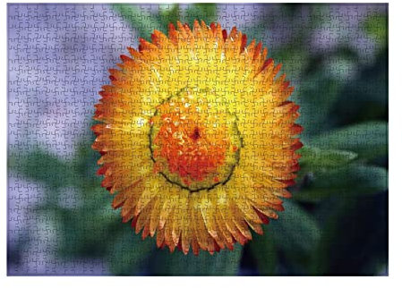 Custom Photo Jigsaw Puzzles 1000 Piece,1000 Piece Jigsaw Puzzles for Adults, Wood Puzzle, (LL8, 1000 Piece)