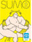 Bright Eye Games | Sumo-Kartenspiel auf Englisch und Deutsch für Alter 10+ | Strategisches und Wettbewerbsorientiertes Spiel für 2 Personen | Kartenspiel für Paare und Freunde