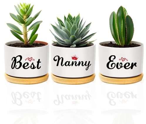 coTaSiEY Pots de fleurs en céramique pour nounou - Cadeau de remerciement pour anniversaire, remise de diplôme, retraite