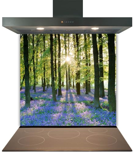 Printed Toughened Glass Splashback for Kitchen, Tempered Heat Resistant Glass Splashbacks for Cookers (Design 2016, 60 x 65cm)