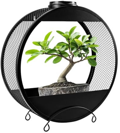 CNAPXAIA Solar-Pflanzenständer mit LED-Leuchten – Wandmontiertes Metallregal Gartendekor für Pflanzen im Freien, IP55 wasserdichter Blumentopfhalter mit zweifarbigem Modus Schwarz