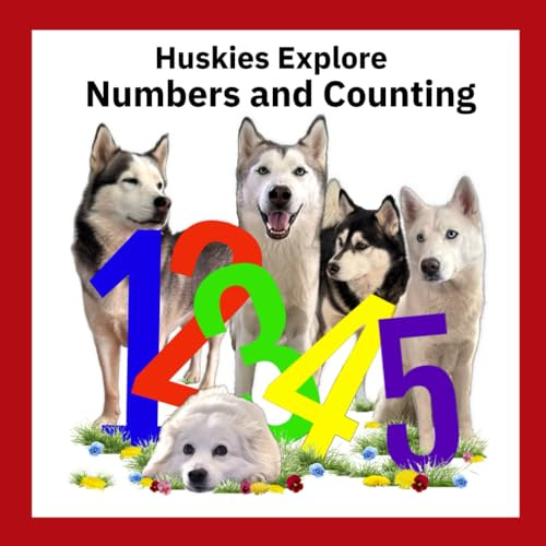 Huskies Explore Numbers and Counting