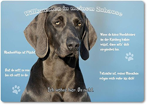 Merchandise for Fans Blechschild/Warnschild/Türschild - Aluminium - 20x30cm - - Willkommen in Meinem Zuhause - Motiv: Weimaraner - 02