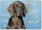 Merchandise for Fans Blechschild/Warnschild/Türschild - Aluminium - 20x30cm - - Willkommen in Meinem Zuhause - Motiv: Weimaraner - 02