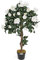 CHRISTOW Artificial Rose Tree Cream Flowers Twisted Wooden Trunk Potted Indoor Outdoor 3ft