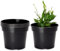 Garronda Macetas de Producción Macetas Redondas para Plántulas de Flores y Plantas GD-0025 (5 Piezas - Negro, ⌀ 10cm H=7,5cm)