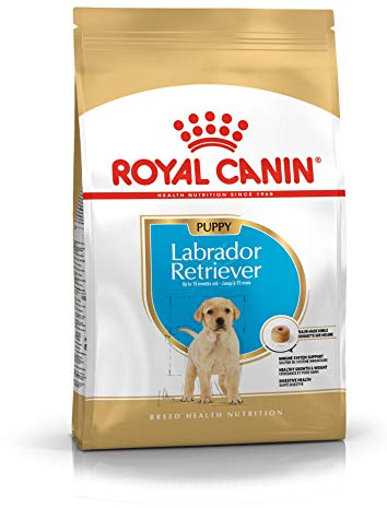 Royal Canin Labrador Retriever Junior 3 kg, 1er Pack (1 x 3 kg)