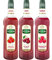 Assortiment de fruits rouges du printemps : sirop de fraise, de cerise, de framboise