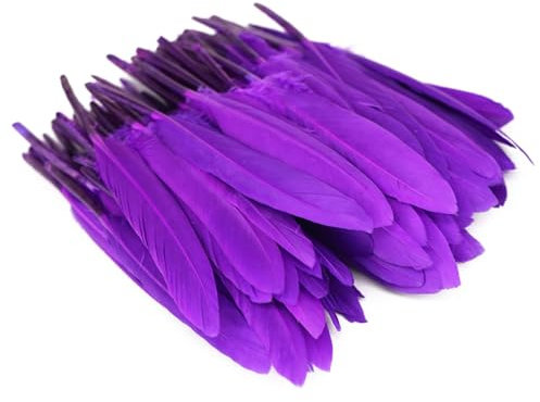 Anevous 100 Stück Federn, Federn zum Basteln Federn Lang Bastelfedern zum Karnival Dekoration, Feder Deko für DIY Basteln, Traumfänger, Hochzeit Deko, Kopfschmucksfedern Ohrring,Lila