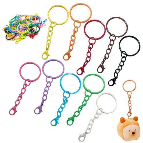 100 Pièces Porte Clef de 25mm,Anneau Porte Clé avec Chaîne avec Fermoir Mousqueton,Coloré Porte Cles,Attache Porte Clef Loisir Creatif,Attache Porte Clef pour Bricolage Artisanat 10 Couleur