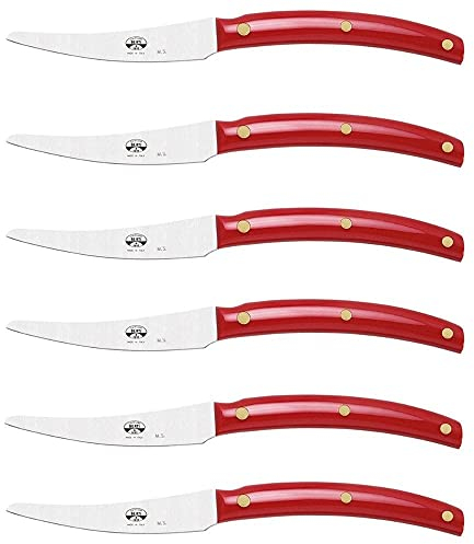 Coltellerie Berti - Convivio Nuovo cm. 23 - Coltello tavola