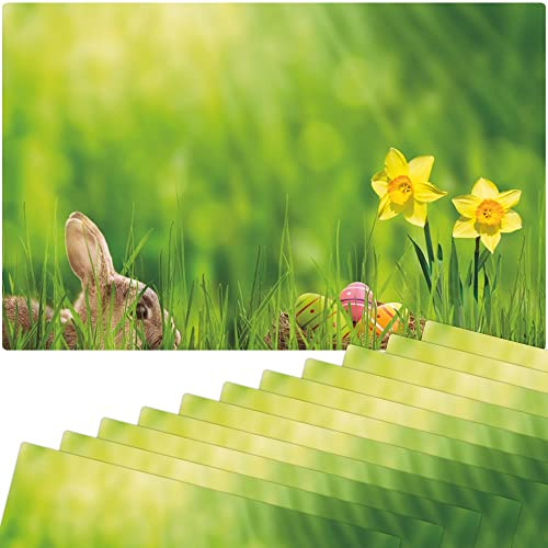 matches21 Frühlingshafte Tischsets Platzsets Motiv abwaschbar Osterhase Osterglocke Wiese bunt 12er 43,5x28,5 cm