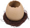 Yardwe Eierschalen Blumentopf Mit Kleiner Vögeln Dekorativer Hydrokultur Vase Für Innenbereich Langlebiges Harzmaterial Einzigartiges Eiförmiges Design Inklusive Vogelnest Für
