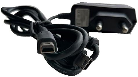 Alimentatore di rete 2 in 1 per console Nintendo DS Lite e Dsi cavo di ricarica, adattatore AC