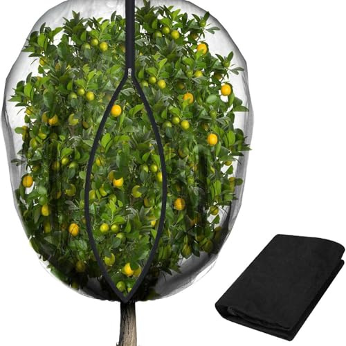 JISADER Obstbaumnetz, Gartenpflanzenschutznetz, Schutzbeutel für Obst, Sträucher, Erdbeeren, Tomaten, Kirschbäume, Mehrfarbig, 2.4 X 3 M