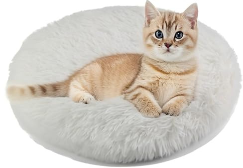RICHRAIN Katzenkissen Rund,Plüschkissen für Katzen und Hunde, rund, warme Matte, weich und bequem, für Wohnzimmer (weiß,50cm) | RICHRAIN Katzenkissen Rund,Plüschkissen für Katzen und Hunde, rund, warme Matte,