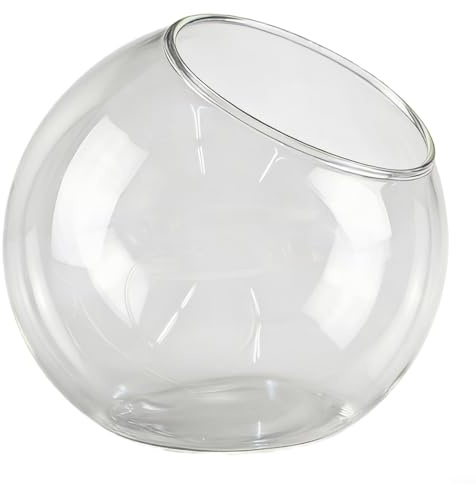 MoSundi Bol de terrarium en verre transparent pour plantes grasses, ouverture sur le dessus à suspendre pour décoration de table, diamètre 20 cm (20 cm)