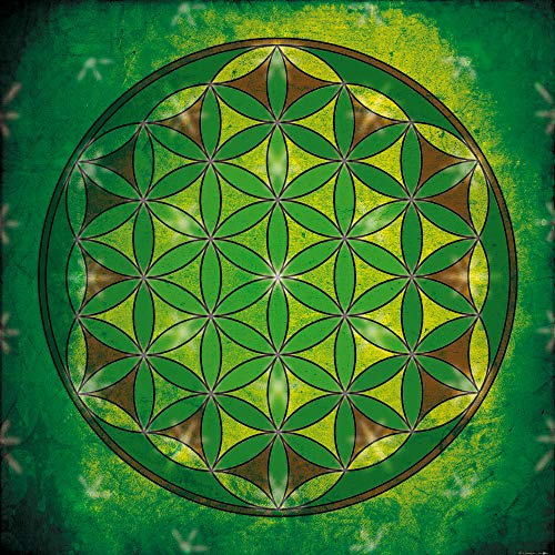 1art1 Mandalas Poster Die Blume des Lebens, Element Erde Kunstdruck Bild 100x100 cm