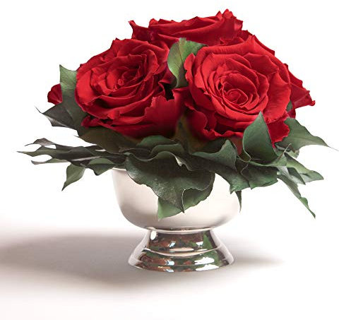 ROSEMARIE SCHULZ Heidelberg Infinity Blumenarrangement in silberfarbenen Schale 6 konservierte Rosen in Rot langhaltend (Rot, 6 Rosen)