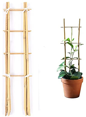 Cambaverd 61 cm Rankgitter für Topfpflanzen, 3 Stück, Bambusspalier für den Innenbereich, natürliches Gartenspalier für Kletterpflanze, Monstera, Hoya, Gemüse und Obst