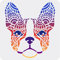FINGERINSPIRE Hunde Malschablone 30x30 cm Wiederverwendbare Schablone Boston Terrier Schablone Hundekopf Schablone Waschbare Zeichenschablone Große Schablone Für Zuhause Wand Boden Tür Möbel Dekor