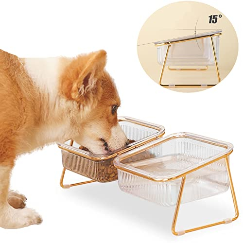 VERTUPET Raised Cat Bowls 15° Tilted Raised Dog Bowls with Stand Tilted, Elevated Cat Bowls Food & Water Feeding Dishes for Puppies and Small Dogs, with 2 Bowl and 4 Anti Slip Feet, Dishwasher Safe