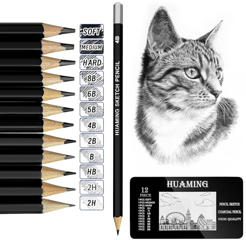 auriikoop Bleistifte Set, 12 Stück Zeichenstifte Set enthält 9 Bleistifte und 3 Graphitstifte, Hochwertige Zeichenstifte für Künstler, Kinderzeichnungen, Erwachsene, Zeichenanfänger
