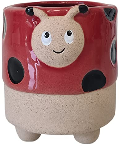 LE MONDE DES ANIMAUX Cache Pot de Fleurs - Coccinelle
