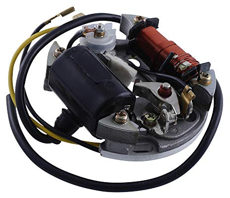 VANEZ Lichtmaschine/Stator 6 Volt 15 Watt kompatibel für Puch Maxi S, Aleta, Herkules Prima 50 2-Takt AC