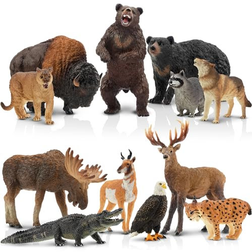 toymany 12PCS North American Forest Animal Figurines, Realistic Jungle Animal Set Includes Raccoon,Lynx,Wolf,Bear,Eagle, Educational Toy Cake Toppers Christmas Birthday Gift for Kids Toddlers