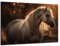Munera Design - Bild 56x84 - Pferd Pferde-Bilder Seitenansicht - Wand-Bilder Wohnzimmer