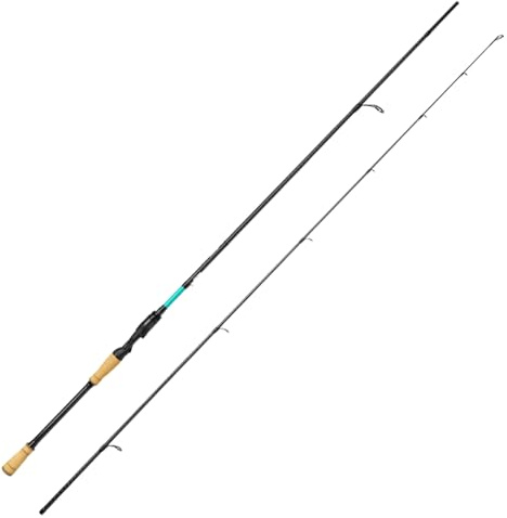 Fishing-King Tackle Spinnrute Forelle | 2-teilig mit 1,90 m und 2-10 g Wurfgewicht | Angelrute zum Forellenangeln