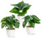 PASCH® 3er Set Kunstpflanzen wie echt (18cm) in bruchfesten Melamintöpfen | Kunstpflanzen im Topf | Künstliche Pflanzen im Topf | Kunstblumen Fake Plant