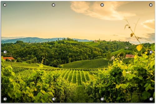 Wallario Outdoor-Poster für Garten oder Balkon Abendlicht über Weinbergen, Motivbanner Größe: ca. 80 x 120 cm, Outdoor-Bild