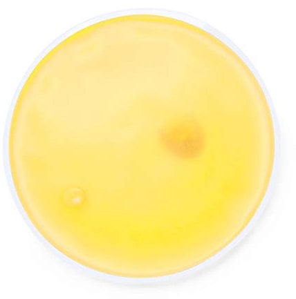 eBuyGB® Pack of 4 Instant Heating Gel Hand Warmers - Reusable Heat Pack (Yellow Round)