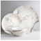 MND Dealings Gorgeous 12 Piece White Marble Glossy Dining Set – Dinner Set for 4 People– Made of Durable Dinnerware with a Marble Design – Plates & Bowls Set Microwave and Dishwasher Safe-White