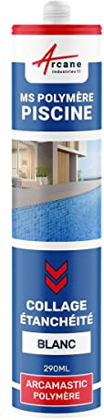 Mastic piscine, colle et étanchéité, pvc, carrelage - 290 ml x 1 Blanc - ARCANE INDUSTRIES