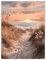 double critical Wandbild Wohnzimmer Meer Strand 50x70 cm Modern XXL- Poster Schlafzimmer natur groß Boho7